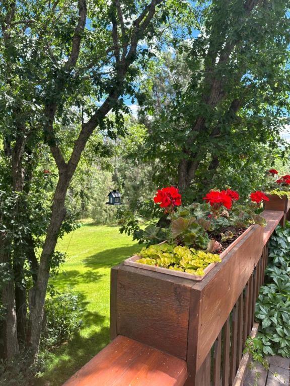 Country Sunshine Bed And Breakfast Hermosa Luaran gambar